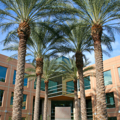 Arizona Medical Real Estate Boom